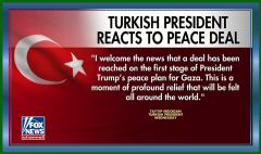 1011253.02.43 AM.jpeg